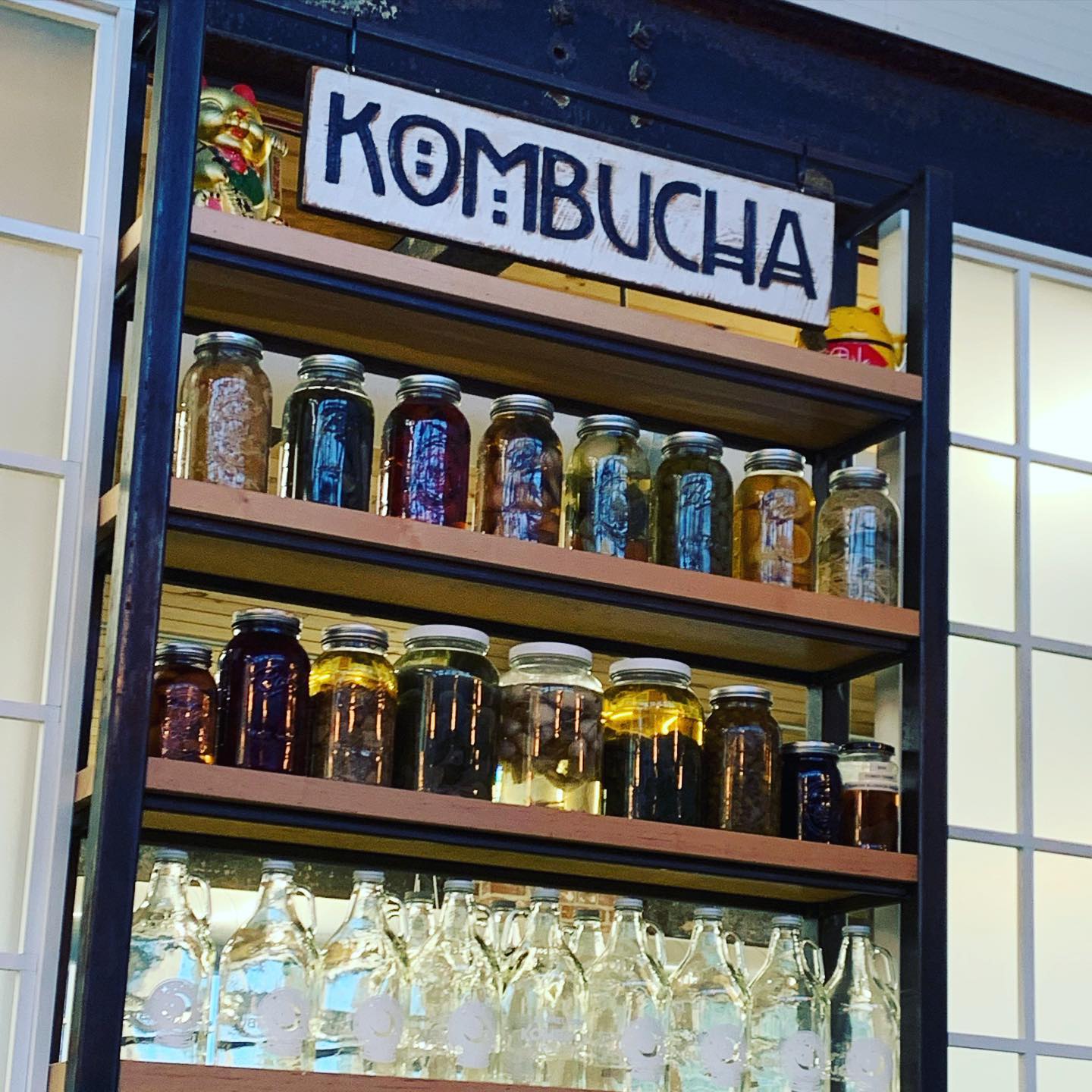 #kombucha