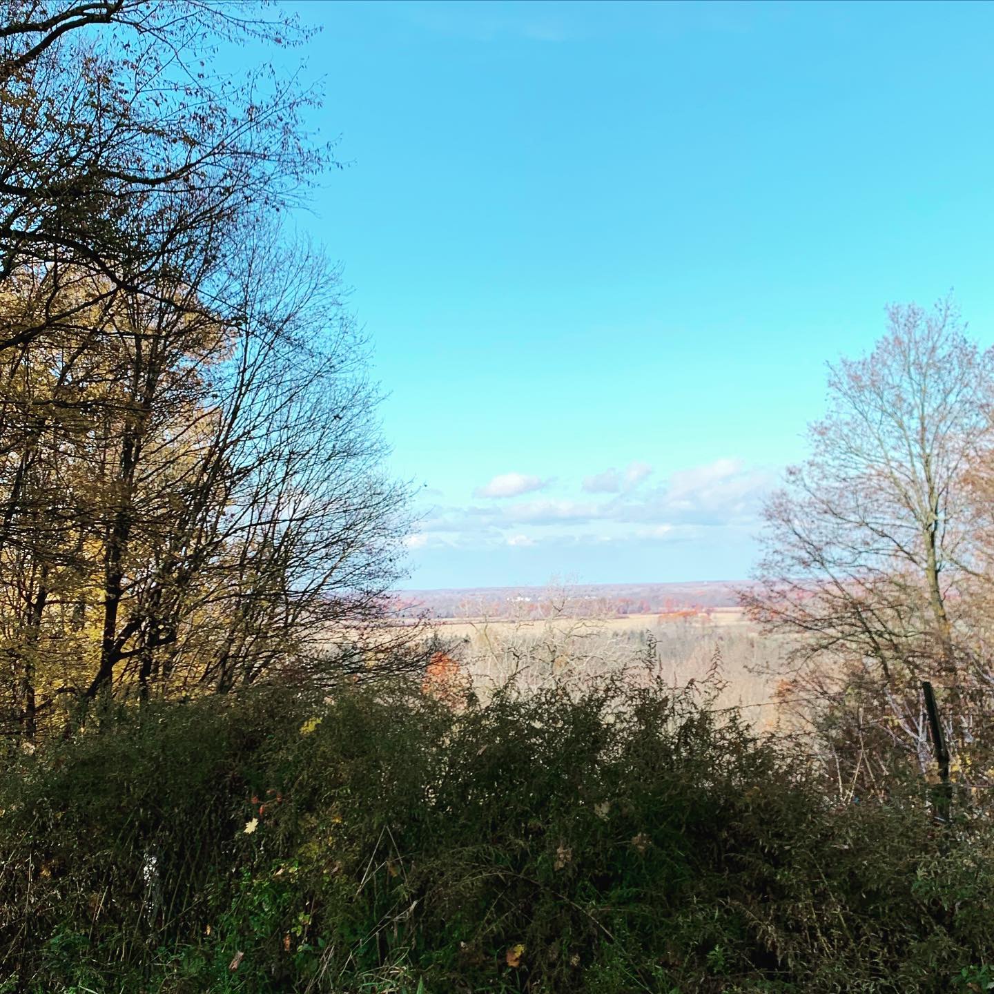 I was hoping to see #toronto from the hill.